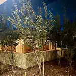 Jardin Miraculeux Gasthuis Himare