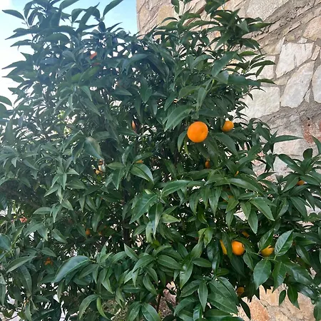 Vendégház Jardin Miraculeux Himara