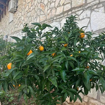 Pensjonat Jardin Miraculeux